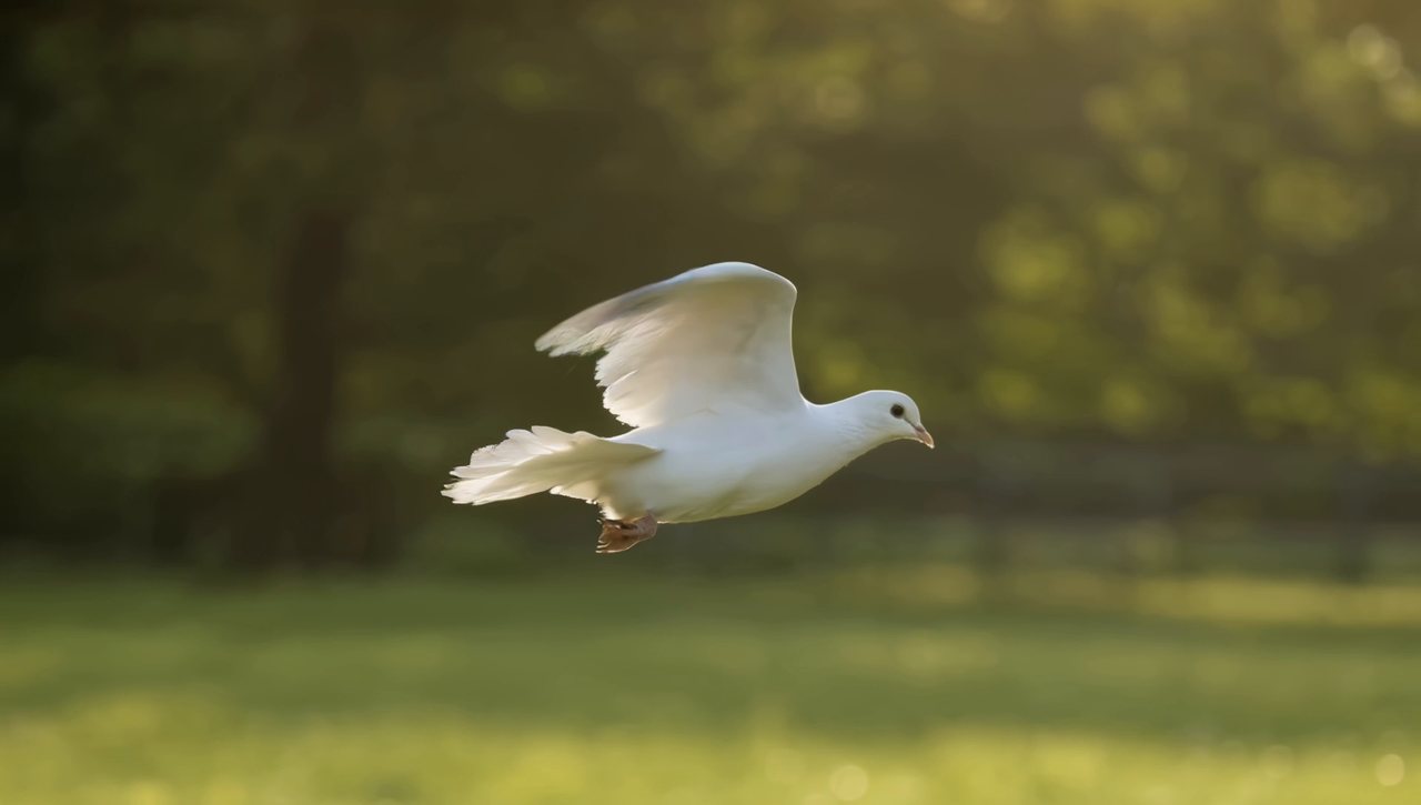 Frame from the No LoRA, slow motion in the prompt result