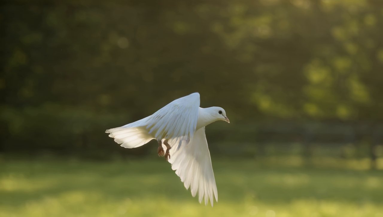 Frame from the Slow Motion LoRA, speed 0.2 result