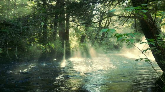 Diana Creek, By Extemporalist, CC0, via Wikimedia Commons