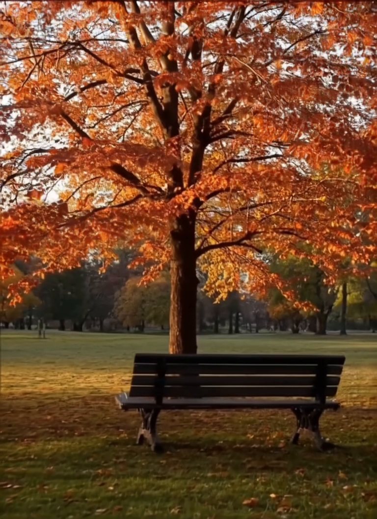 Frame from the Cinemagraph LoRA, 1.5 result