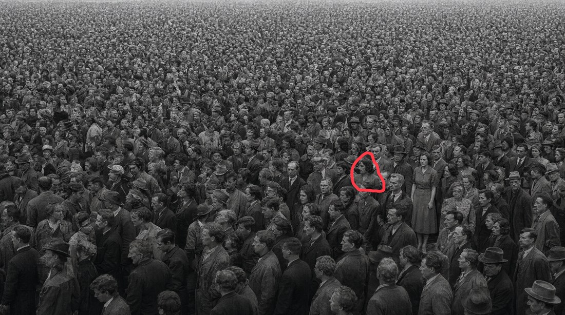 Frame from the The marked input result