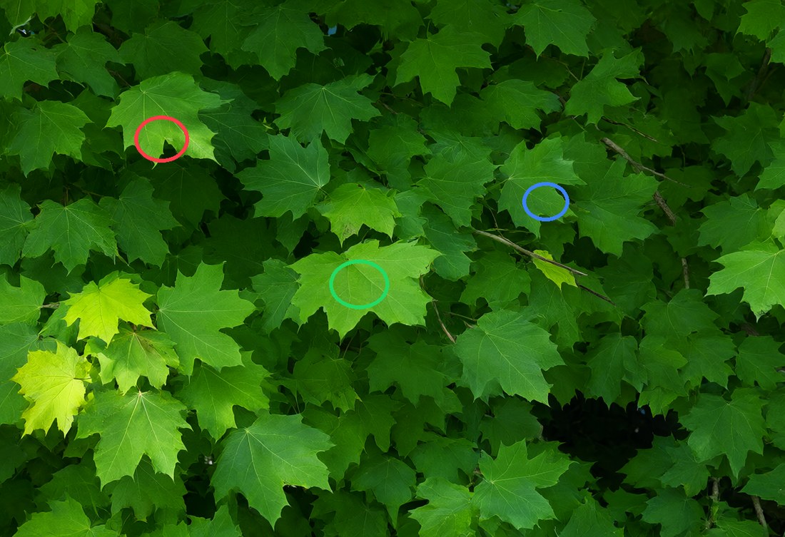 Frame from the The marked input result
